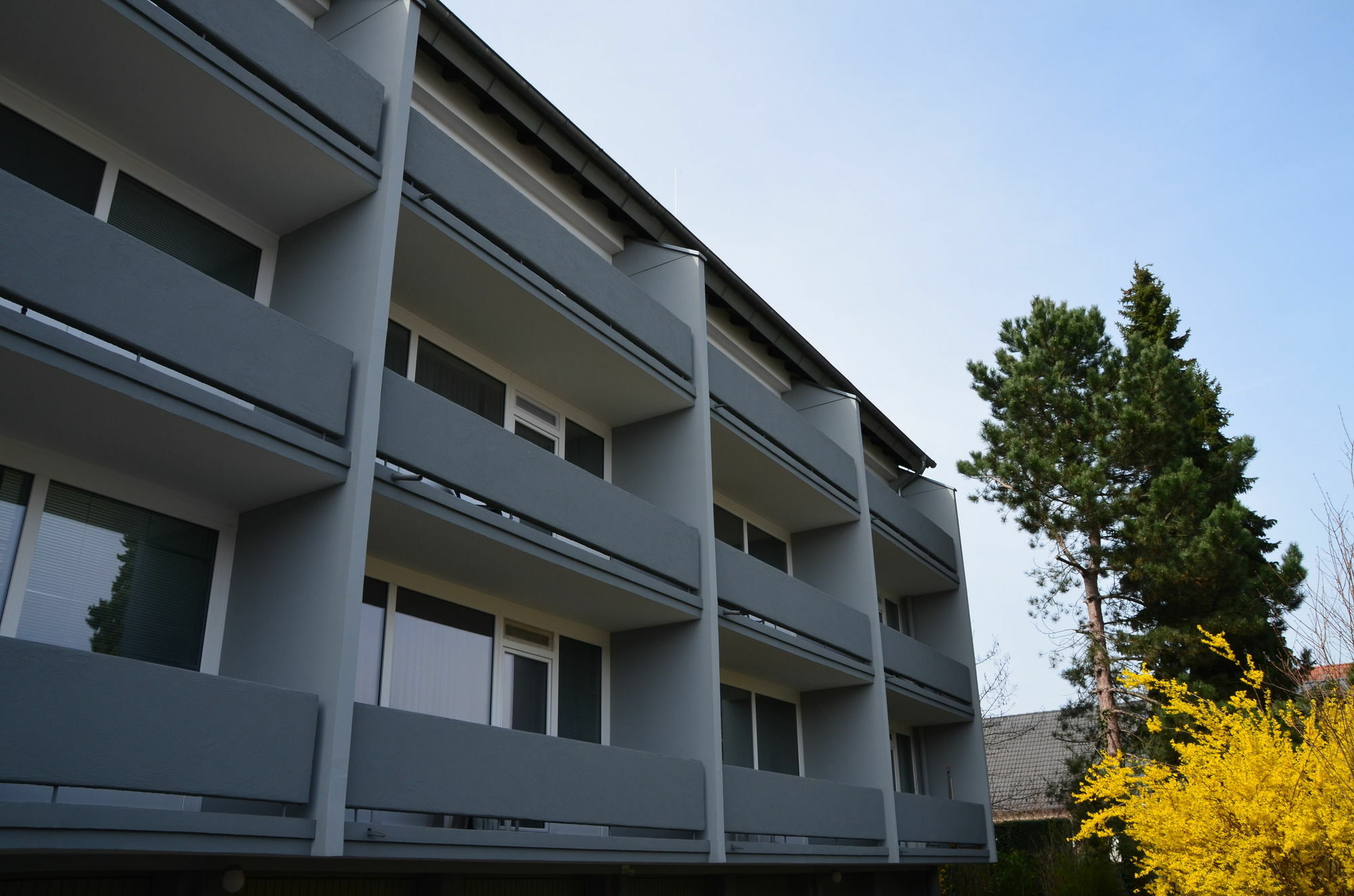 Neu Heidelberg - Guesthouse & Apartments Bagian luar foto