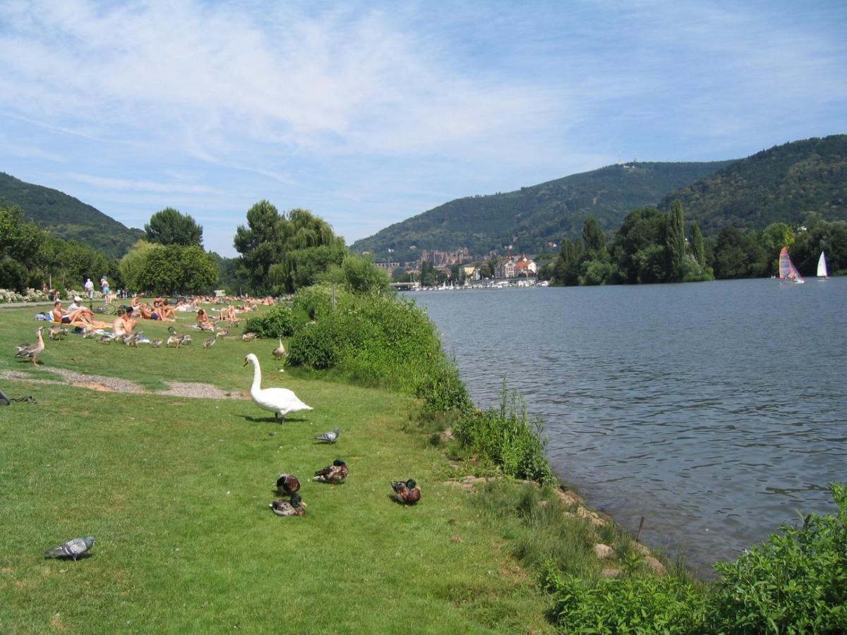 Neu Heidelberg - Guesthouse & Apartments Bagian luar foto
