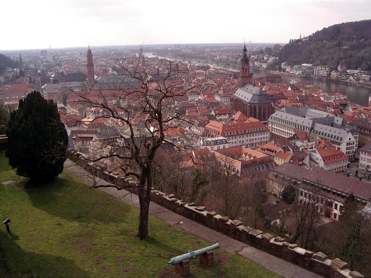Neu Heidelberg - Guesthouse & Apartments Bagian luar foto