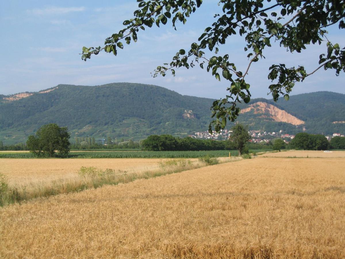 Neu Heidelberg - Guesthouse & Apartments Bagian luar foto