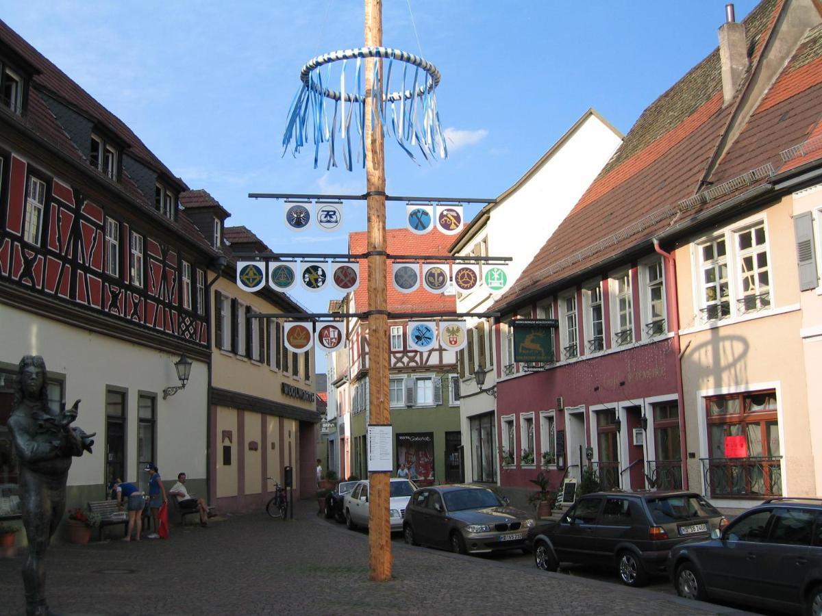 Neu Heidelberg - Guesthouse & Apartments Bagian luar foto